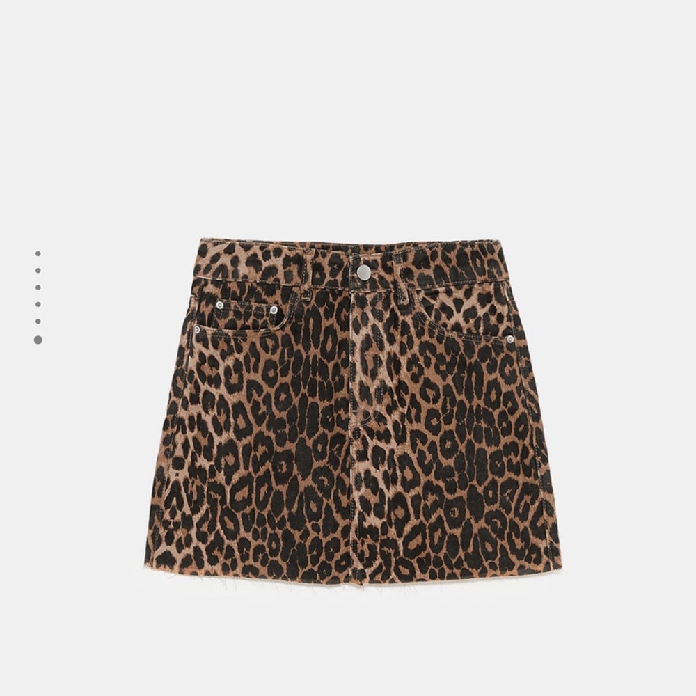 Zara Animal Print Mini Skirt - Leopard